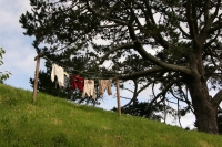 Hobbiton