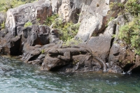 Lake Taupo