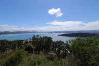 Wellington