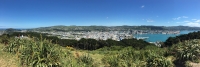 Wellington