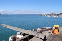 Wellington
