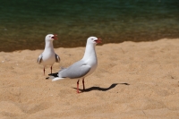 Ein Tag am Meer