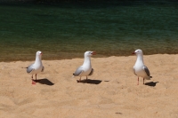 Ein Tag am Meer