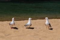Ein Tag am Meer