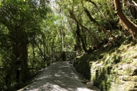 Franz Josef Glacier