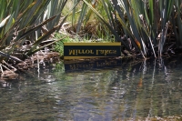 Milford Sound