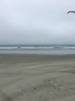 Dunedin