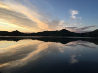 Otago Peninsula