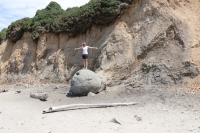 Moeraki Boulders