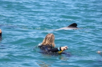 Akaroa Bucht