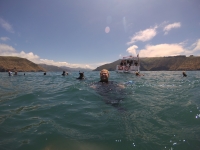 Akaroa Bucht