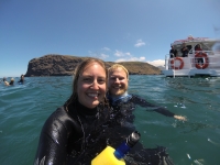 Akaroa Bucht