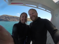 Akaroa Bucht