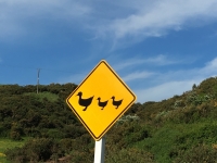 Autowandern